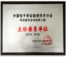 中國(guó)電子學(xué)會(huì)主任委員單位